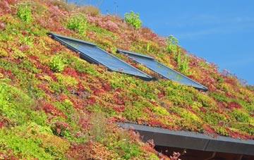 Braunston In Rutland living roof systems